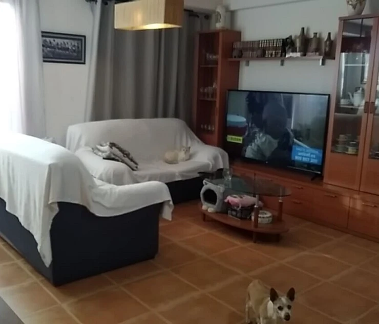 Chalet adosado en Moraleja del Vino