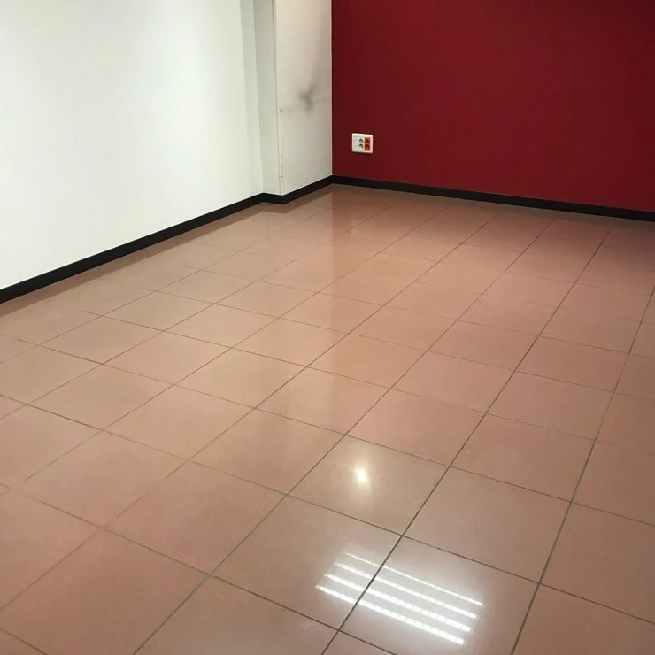 PLANTA PRINCIPAL CALLE