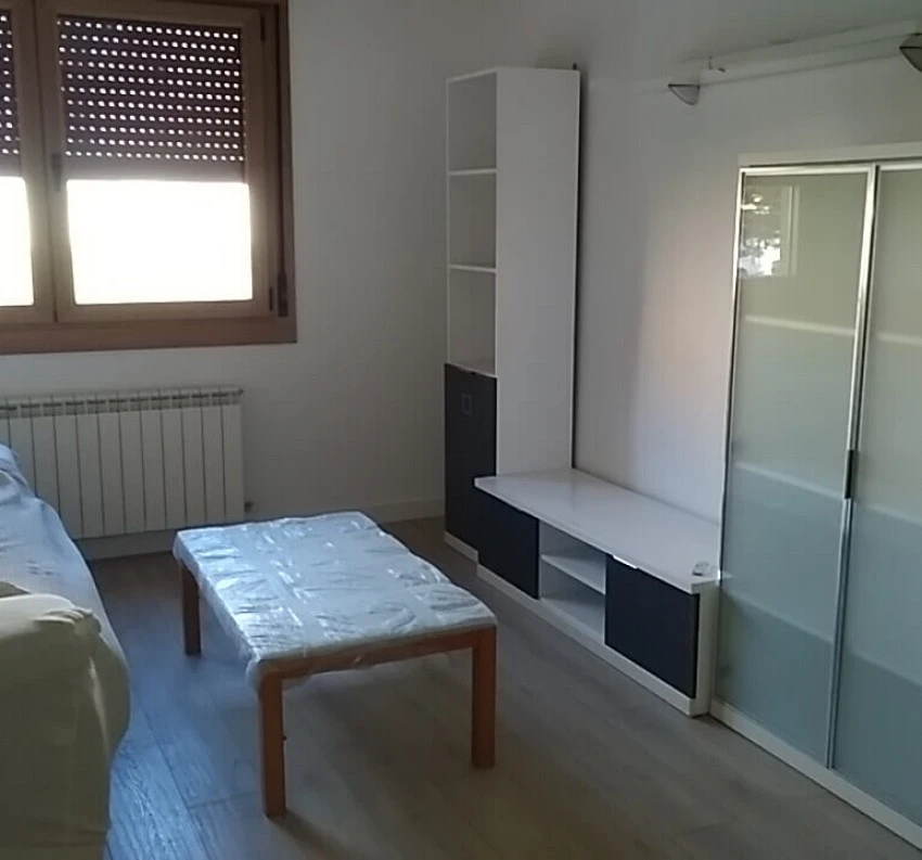 Apartamento 1 dormitorio Cabañales 55
