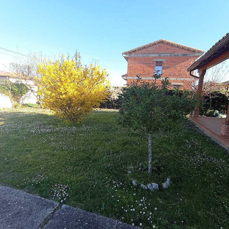 VISTA PARCELA VISTA PARCELA