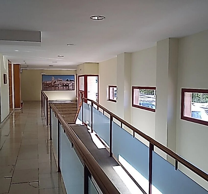 Apartamento 1 dormitorio Cabañales 55